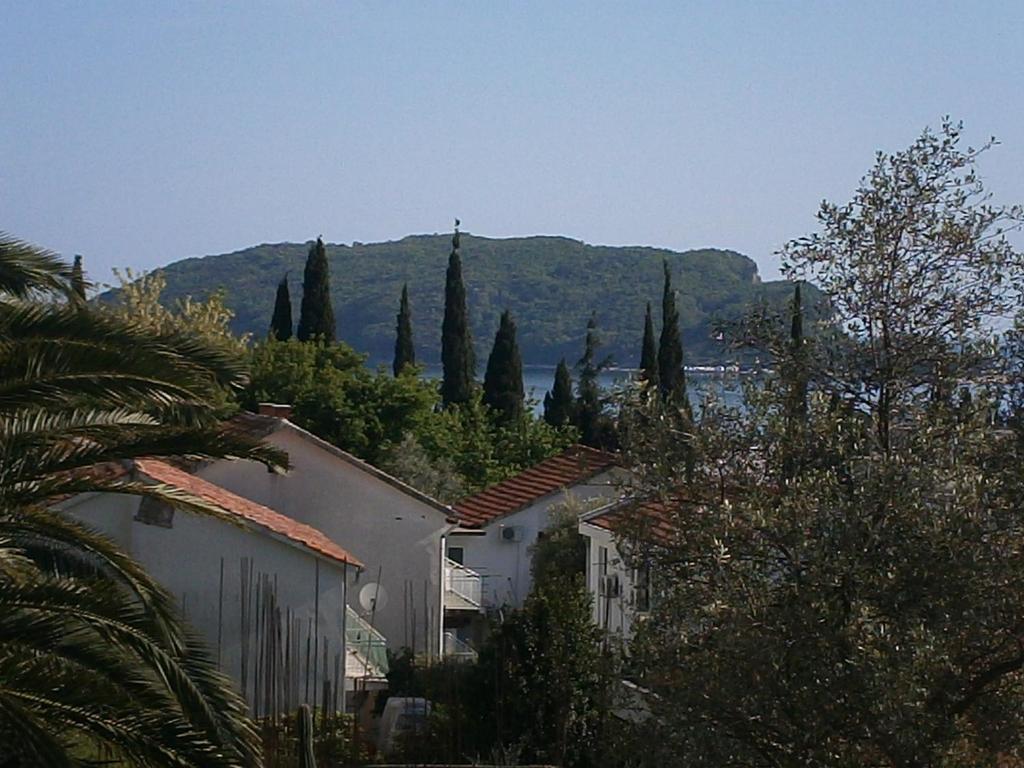 Mijovic Apartments Budva Rum bild